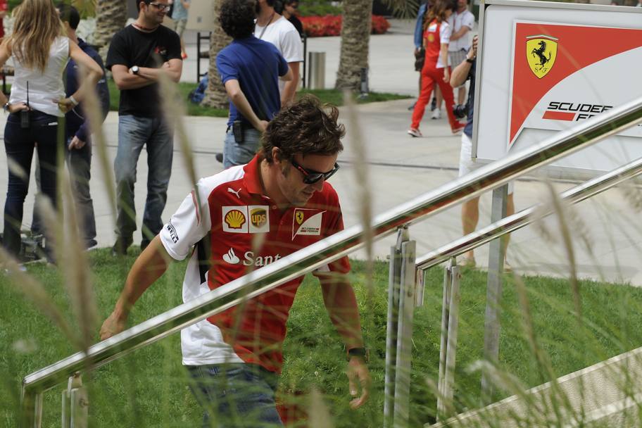 Alonso al paddock. Colombo